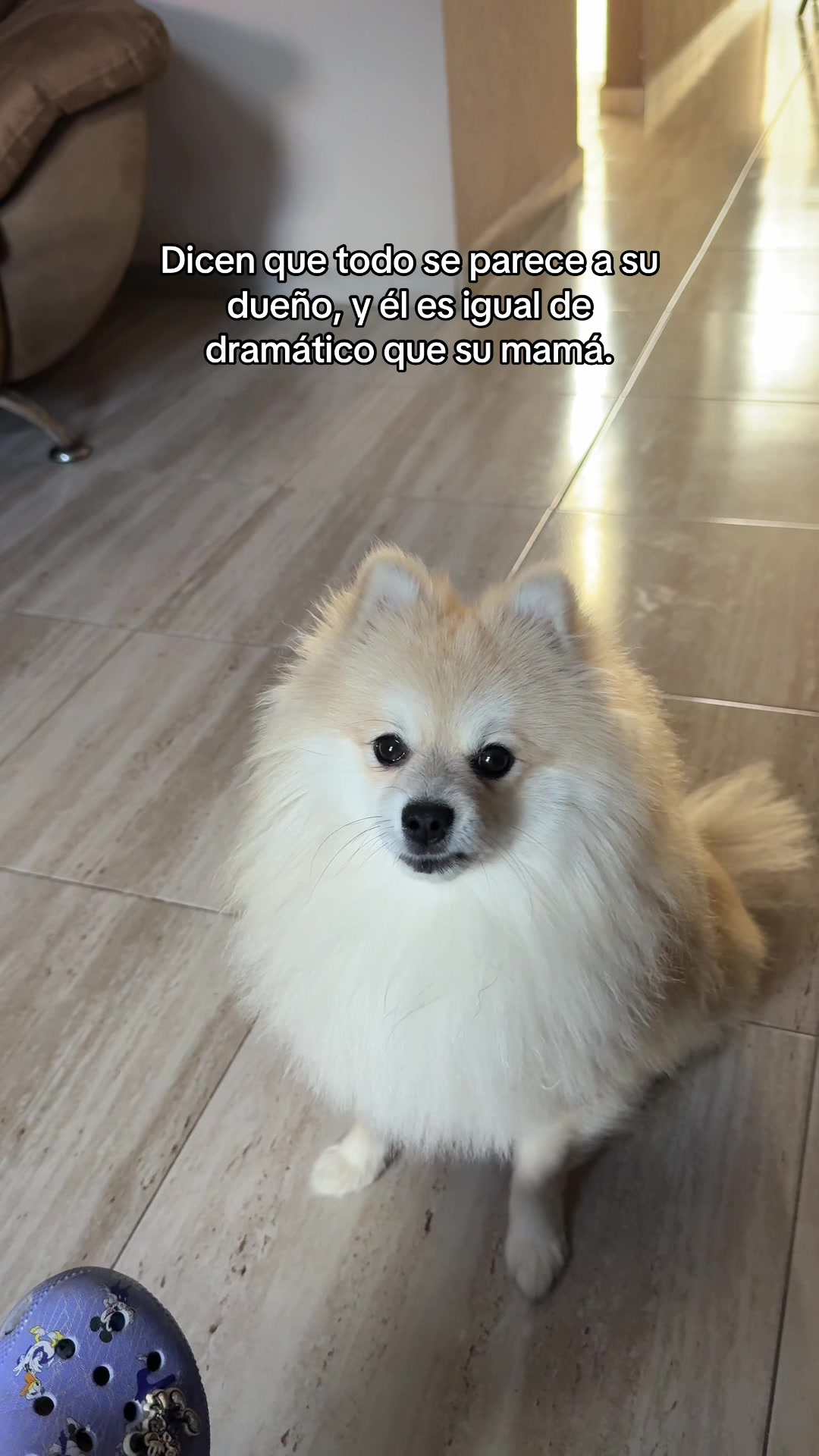 @Dannhblanco