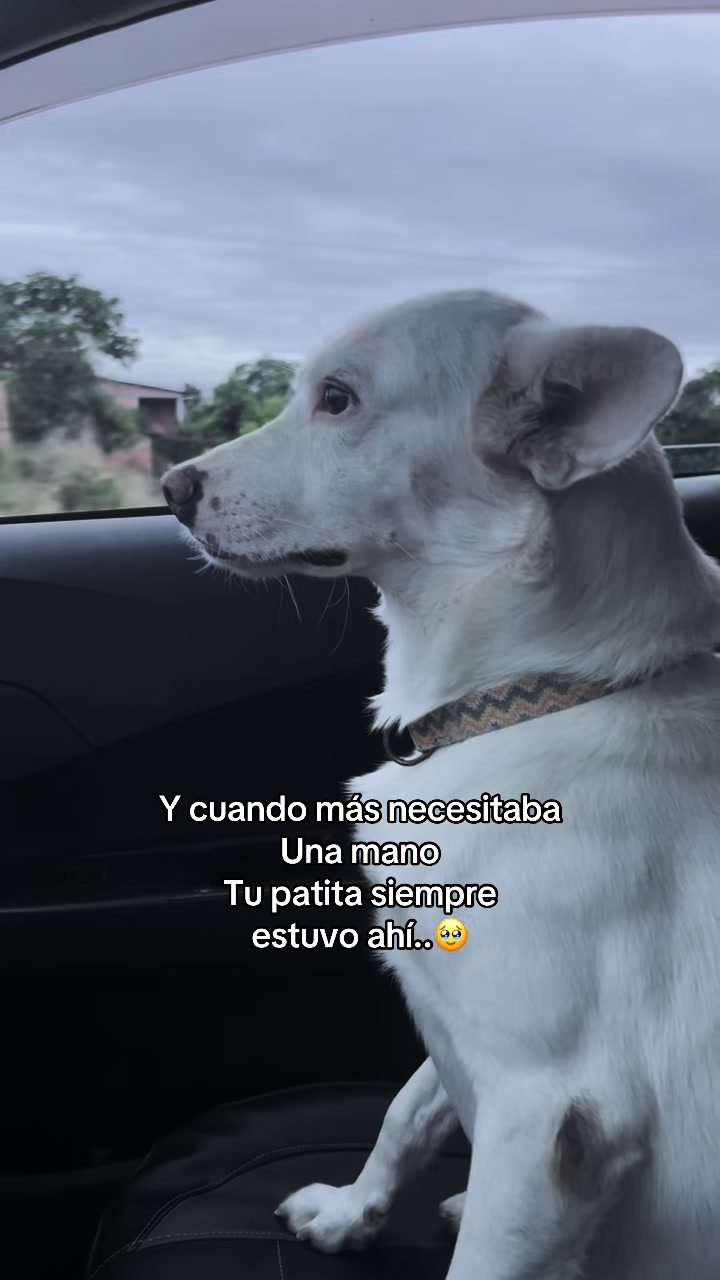 @NÚÑEZ-🍉