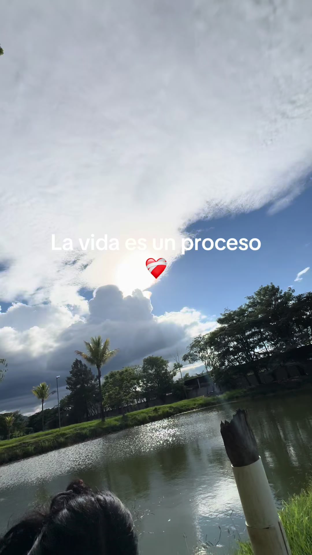 @Sele💕