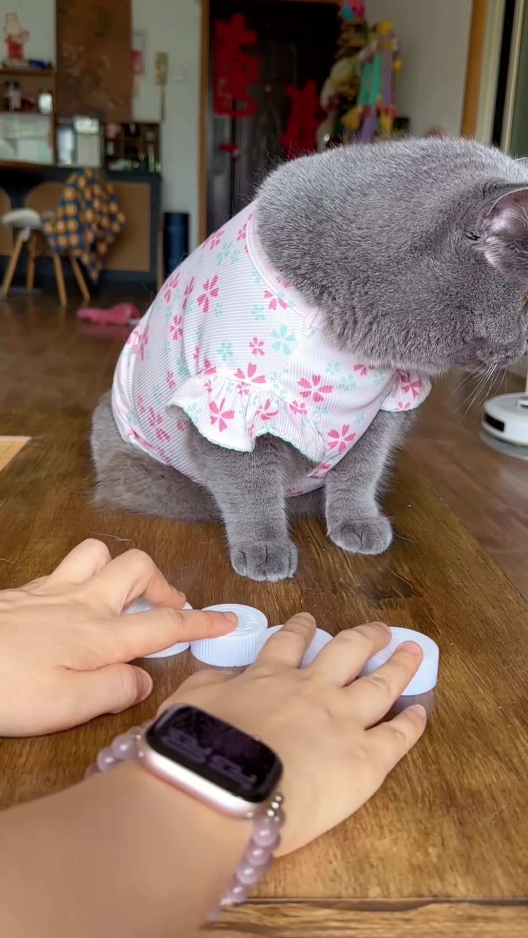 @yooyoomiao
