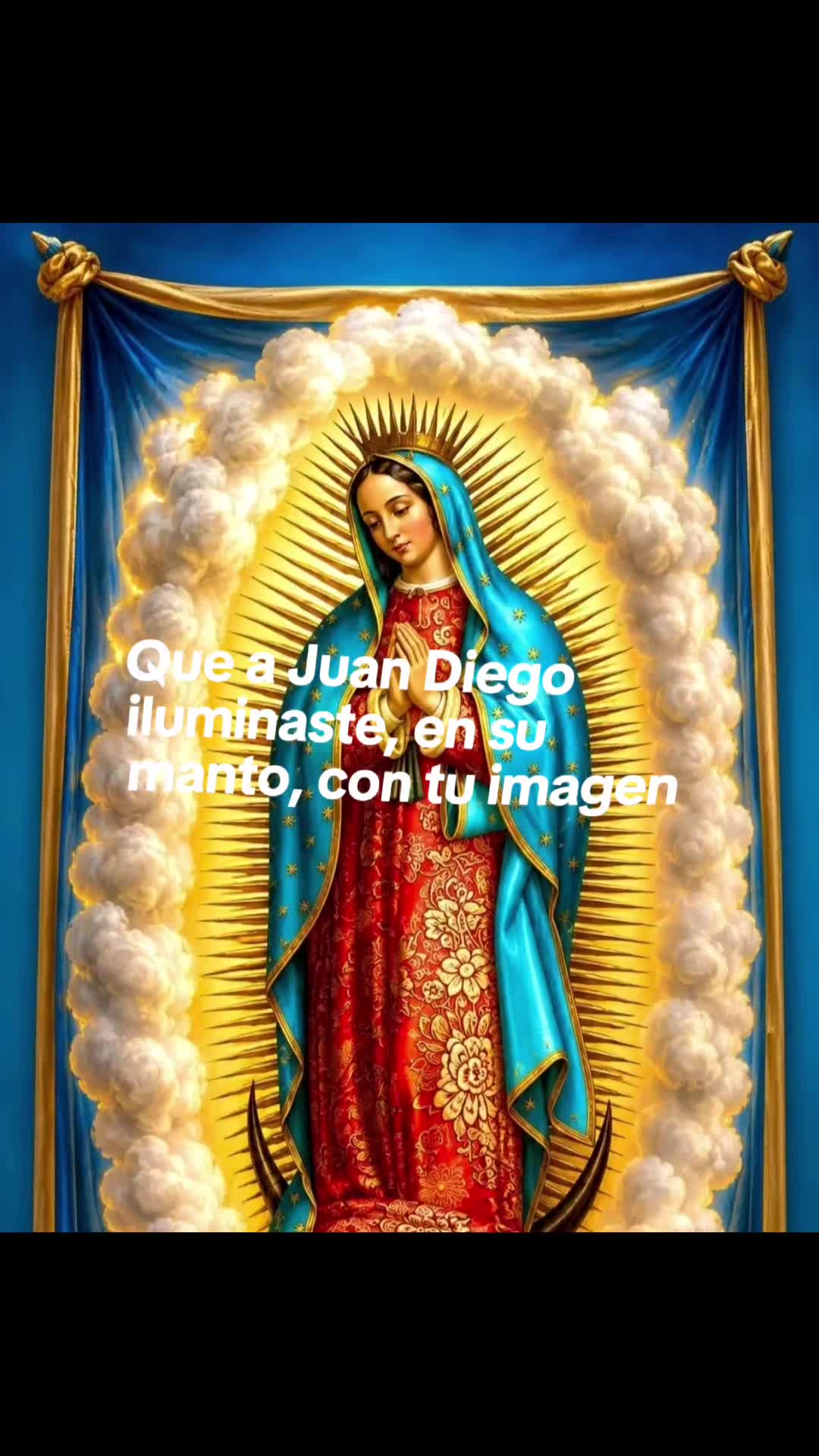 @Bertha Torres