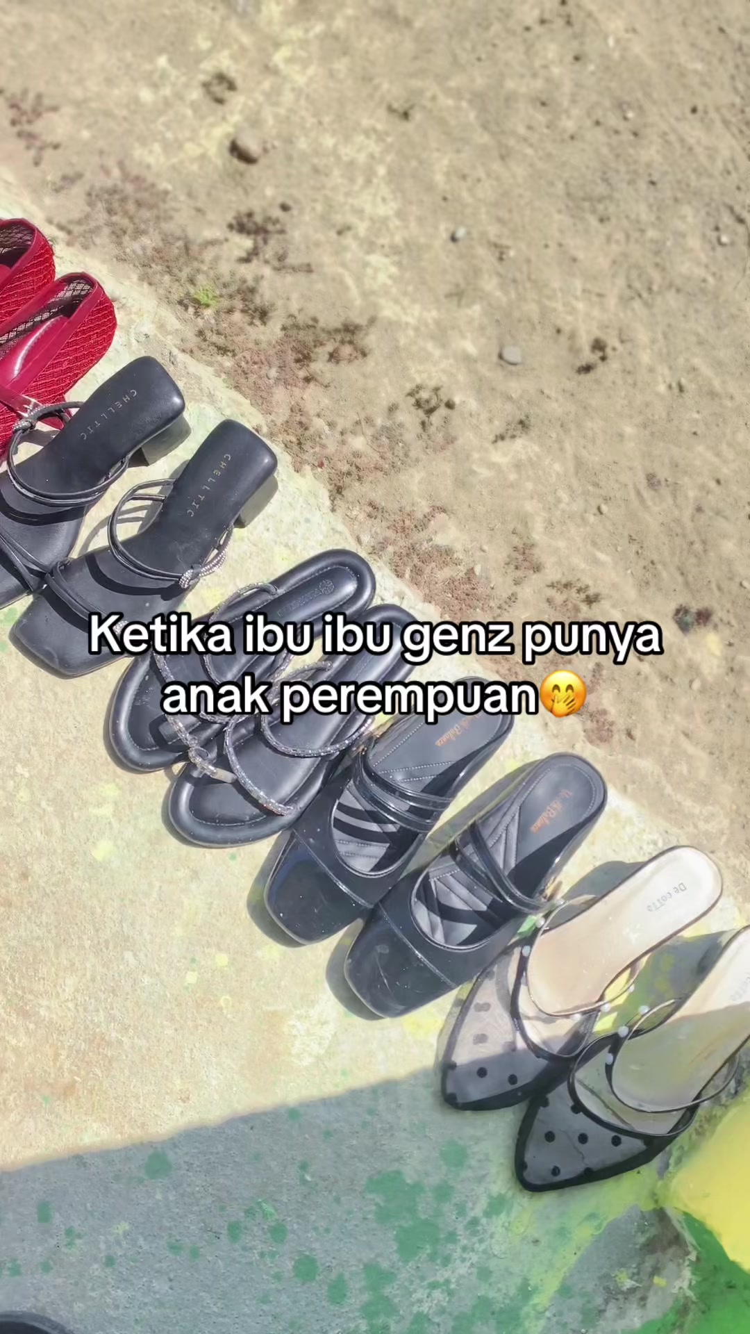 @mumu23.1