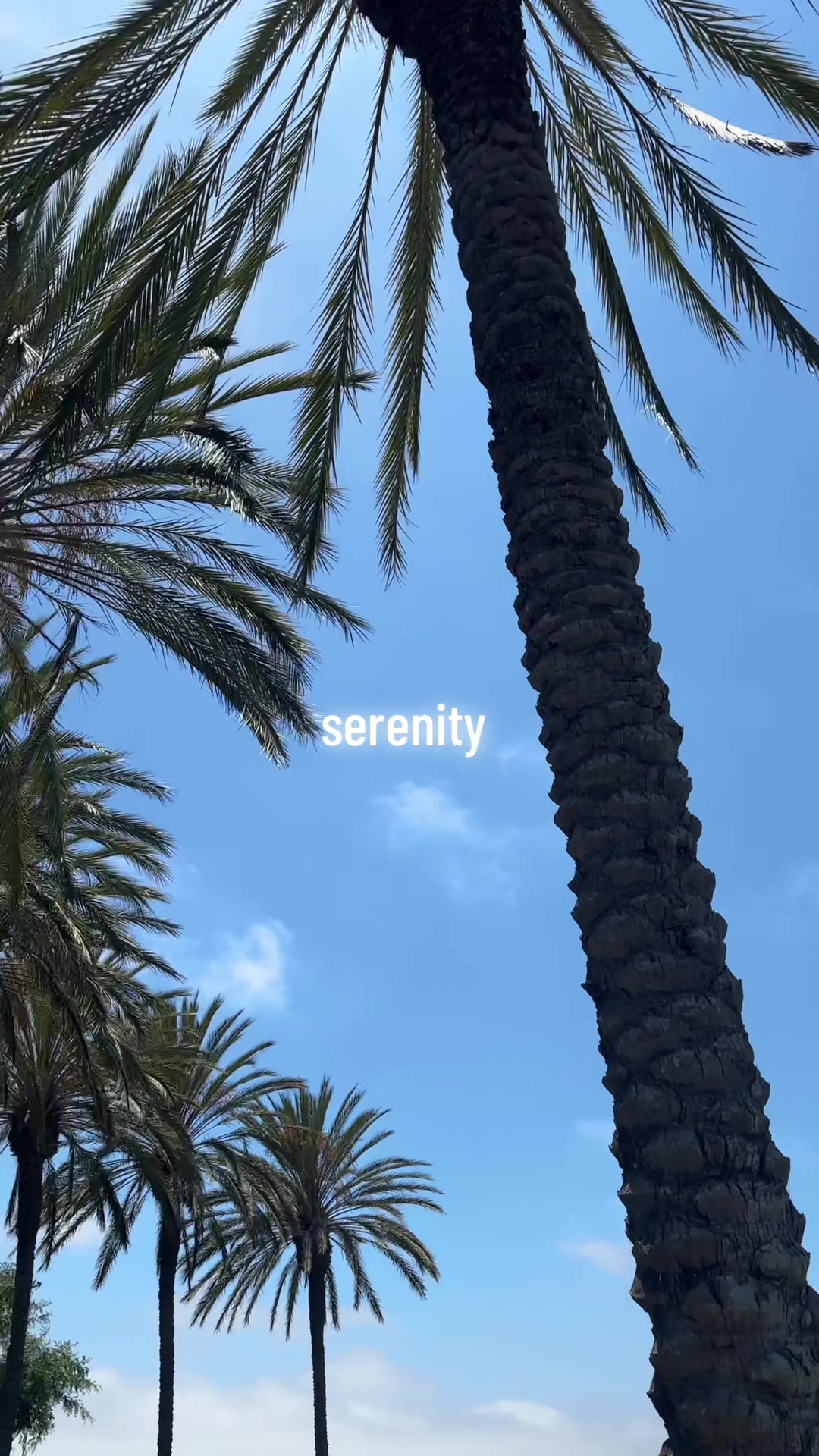 @𝗠𝗜𝗖𝗛𝗘𝗟𝗟𝗘