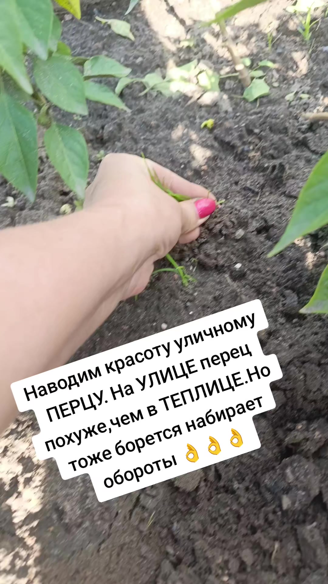 @Оленька