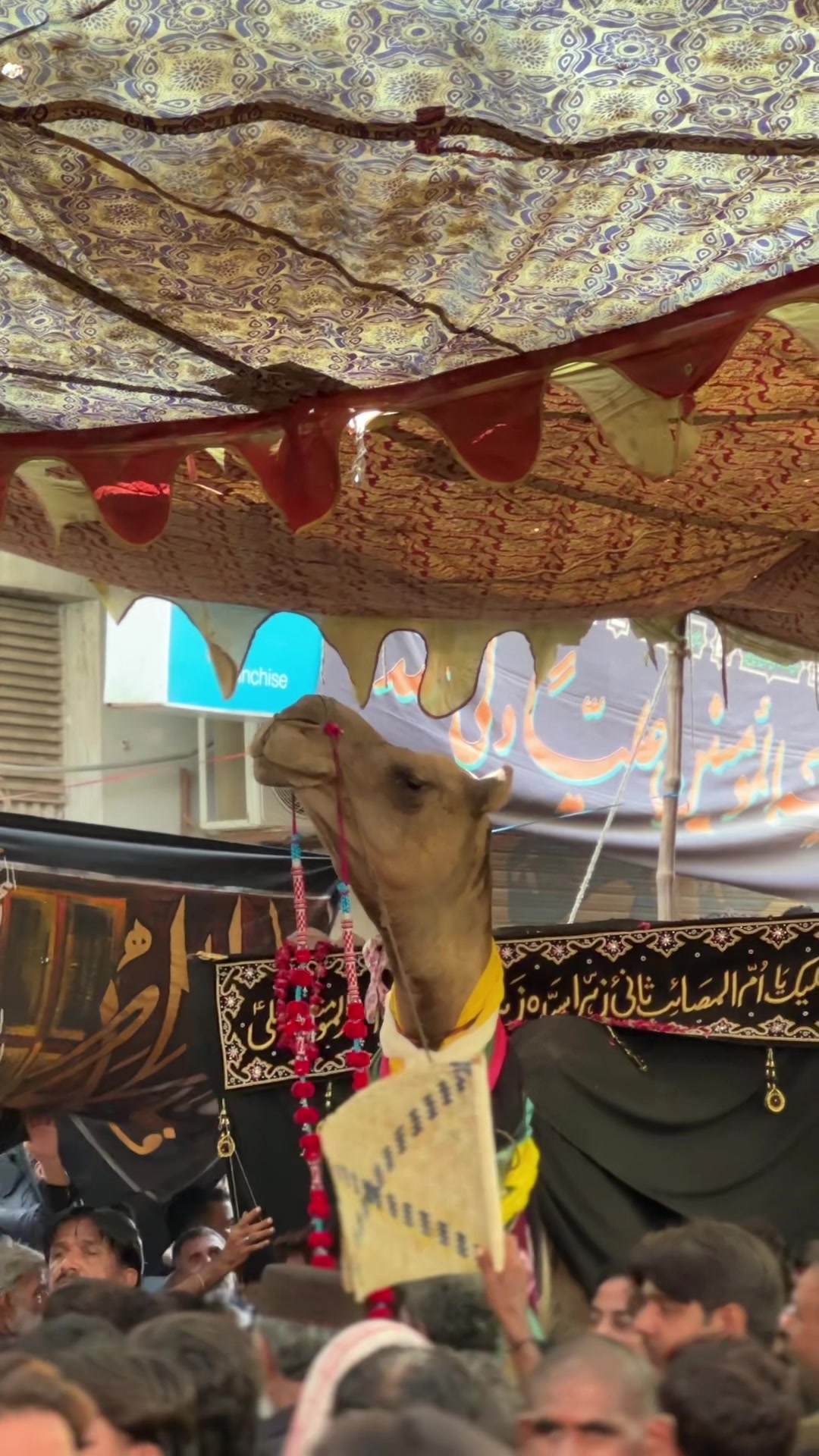 @Najaf Ali Memon 👑