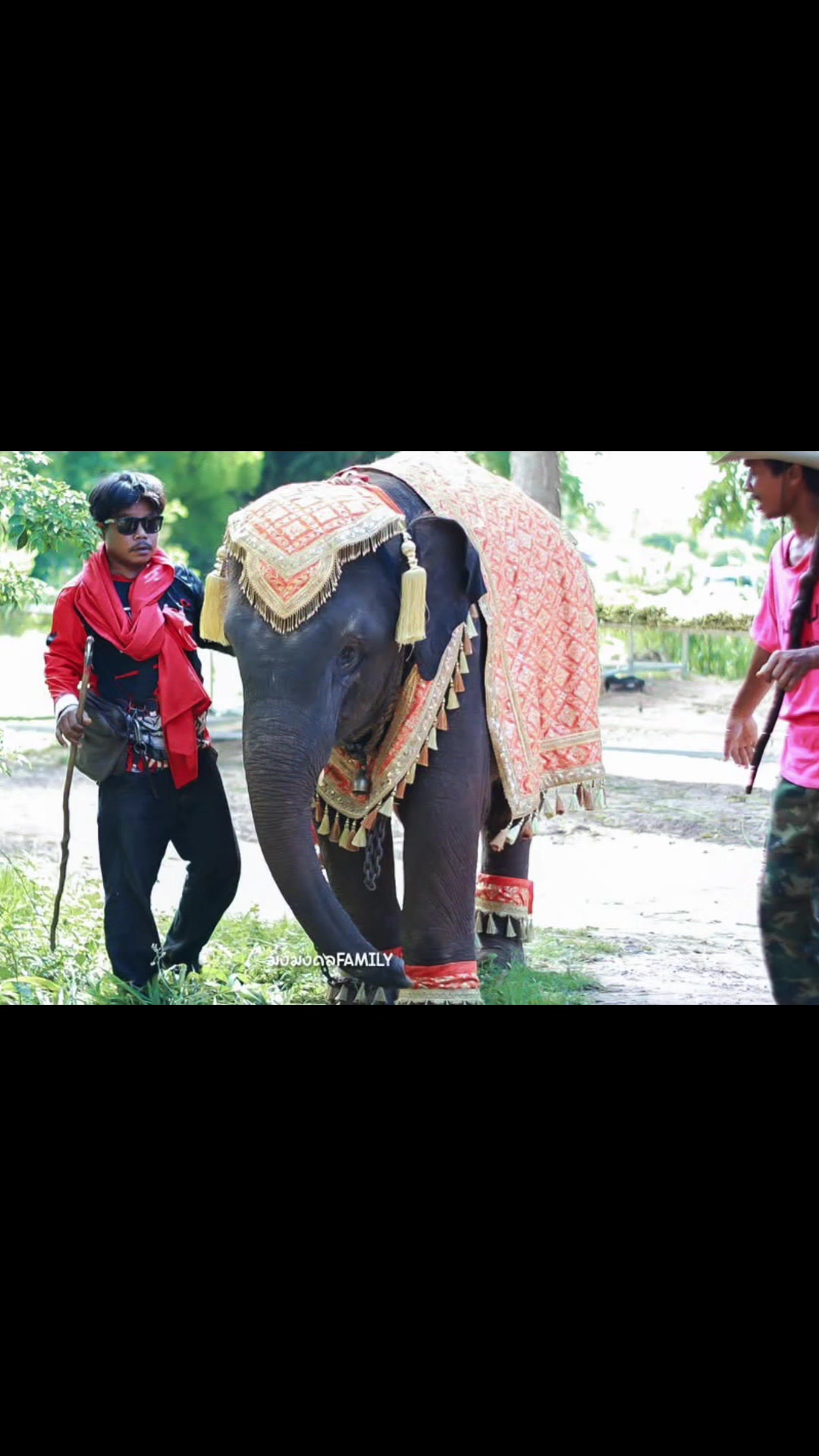 @aoraeeFcMooming🐘❤️