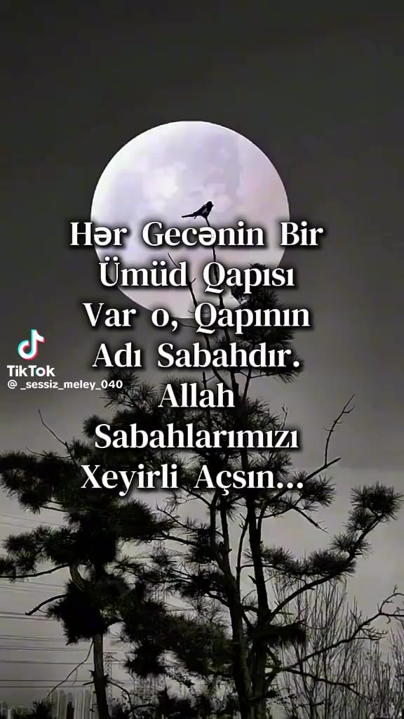 @ZEMİ