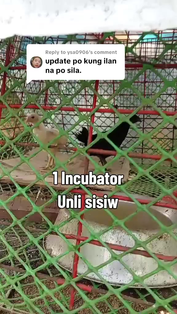 @Lyn Aice