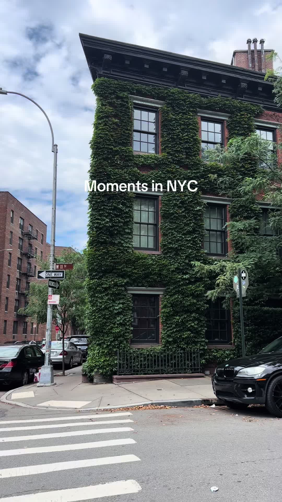 @Addison🧚&zwj;♀️