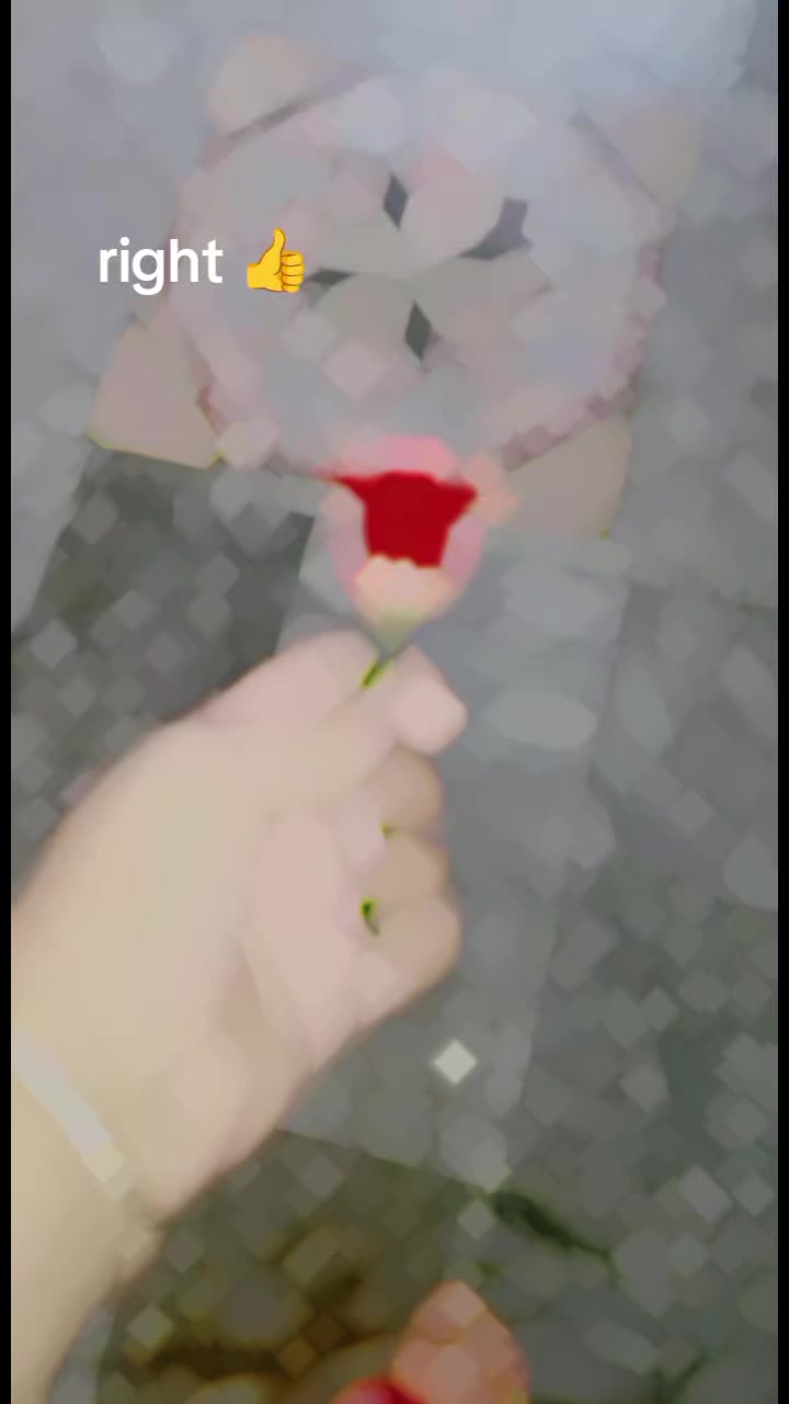 @princess
