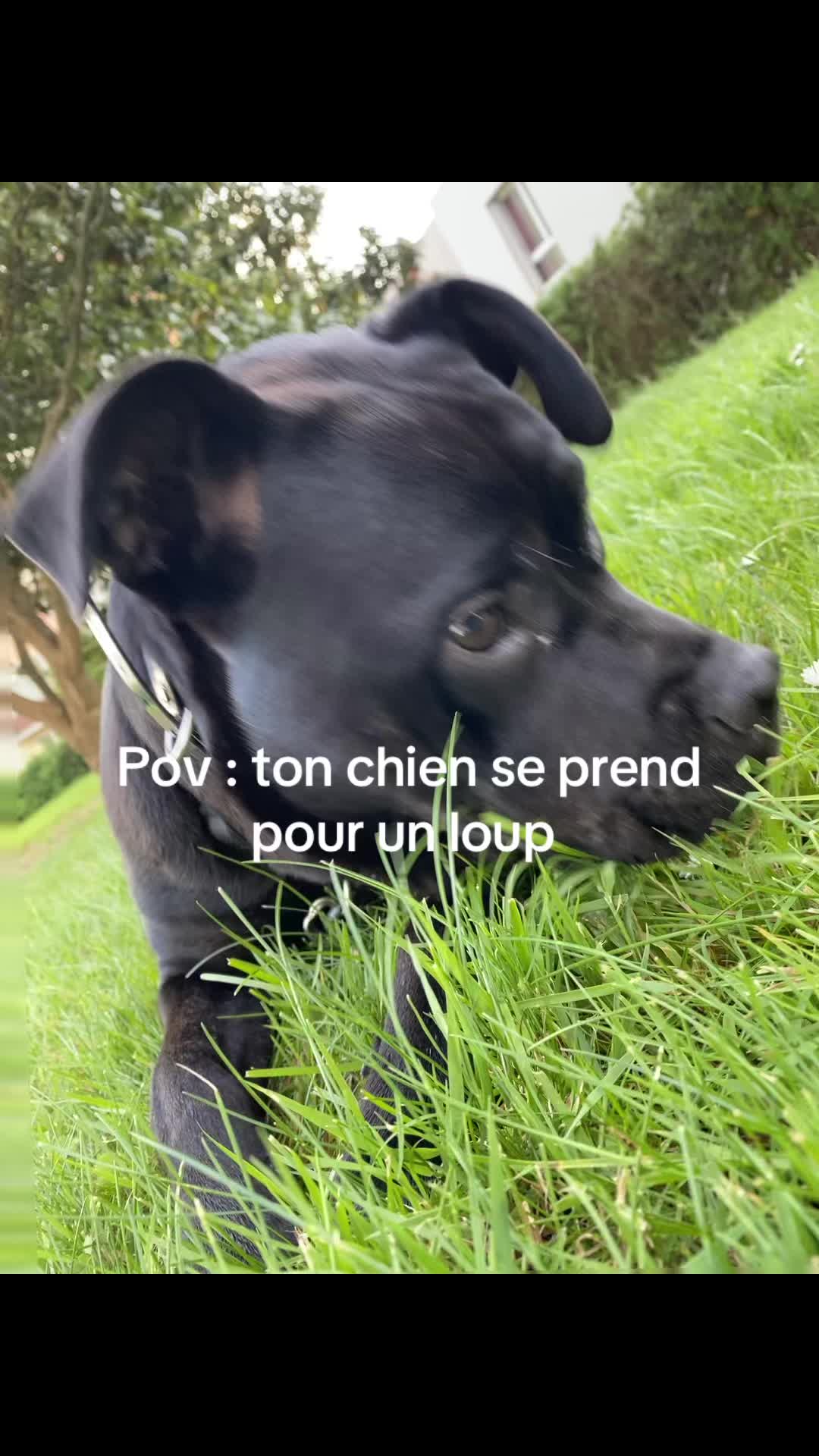 @les.aventures.de.naya