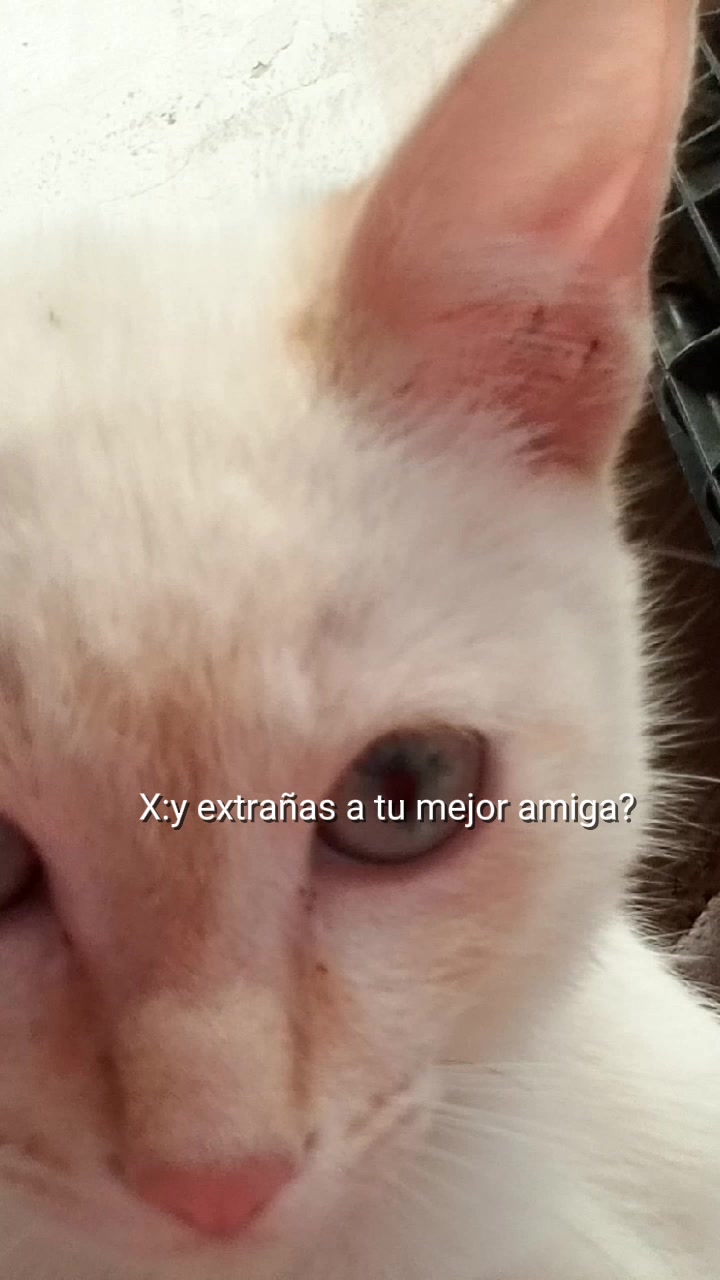 @...