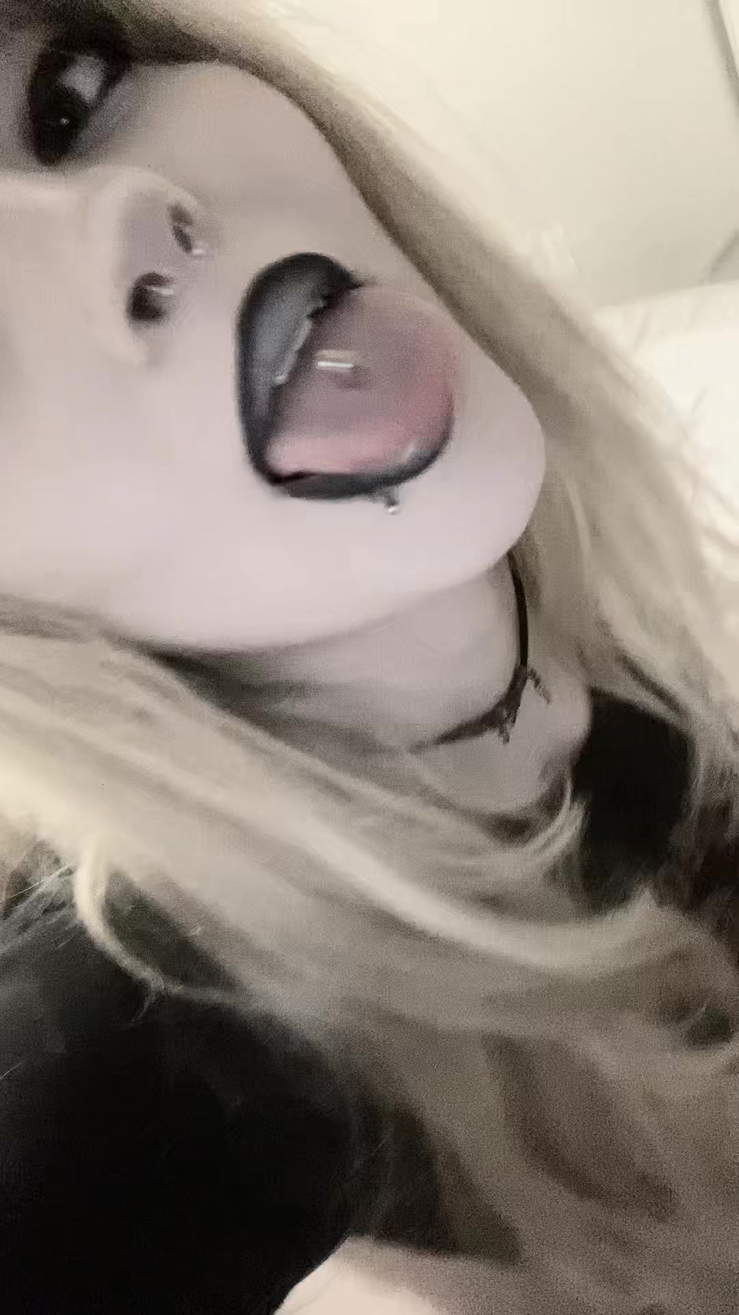 @🐾