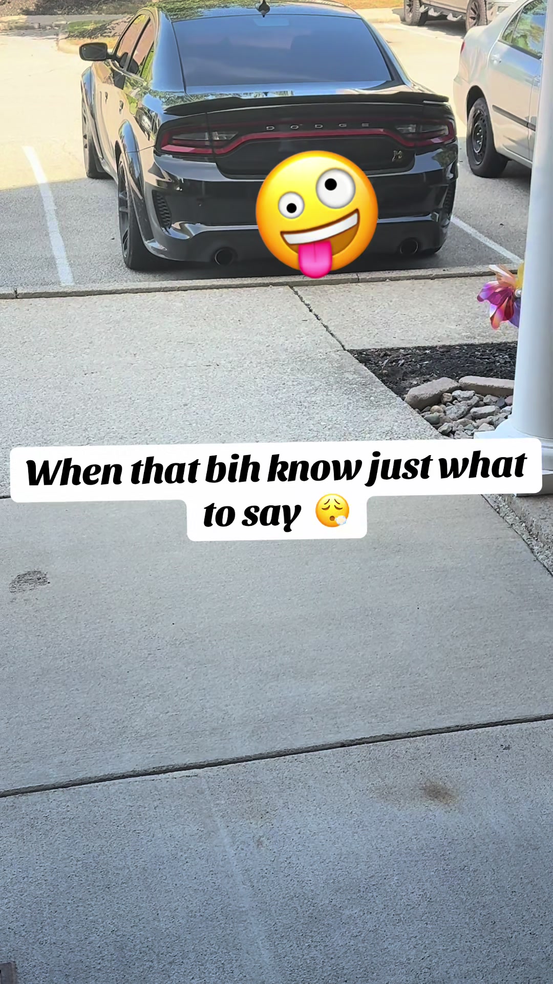 @Dipinascat