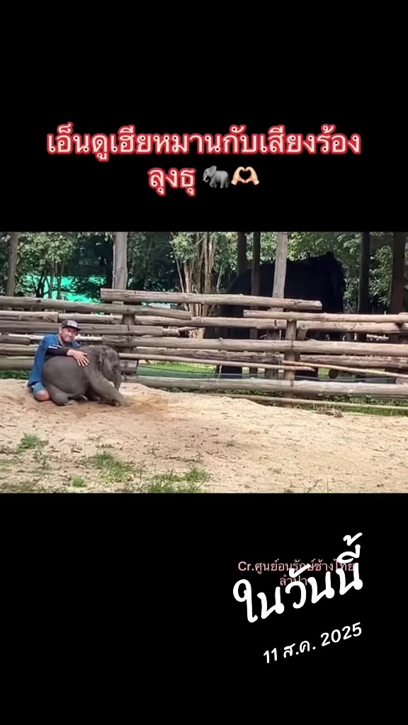 @Siriwan Setraksa(OIL)