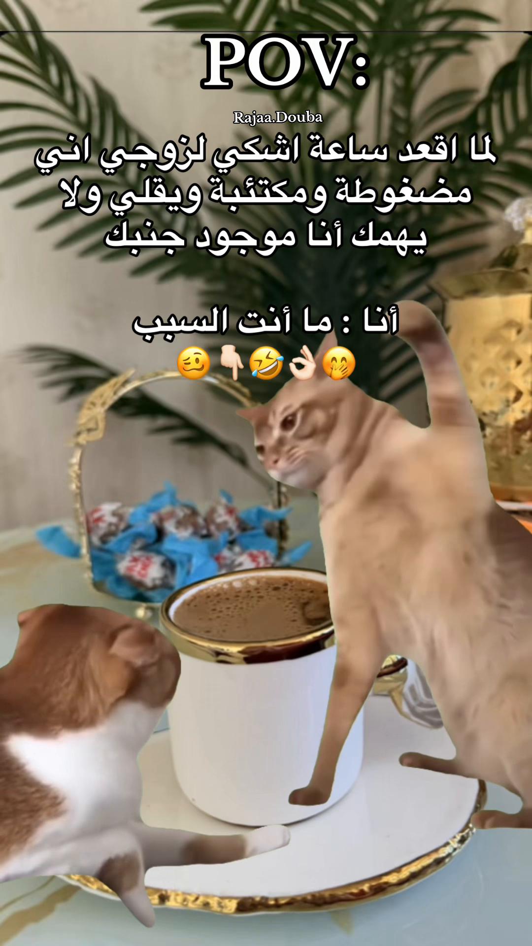 @🇸🇾Rajaa Douba🇩🇪