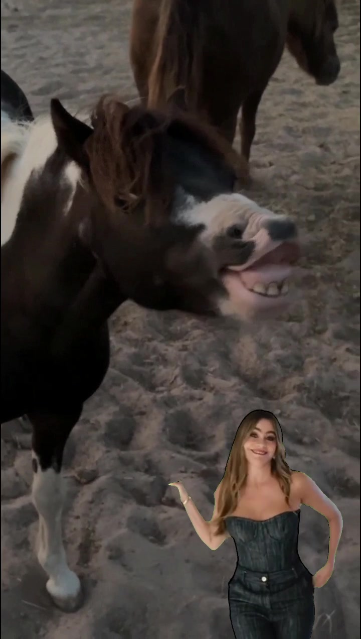@Dr.Nicole-VetMed