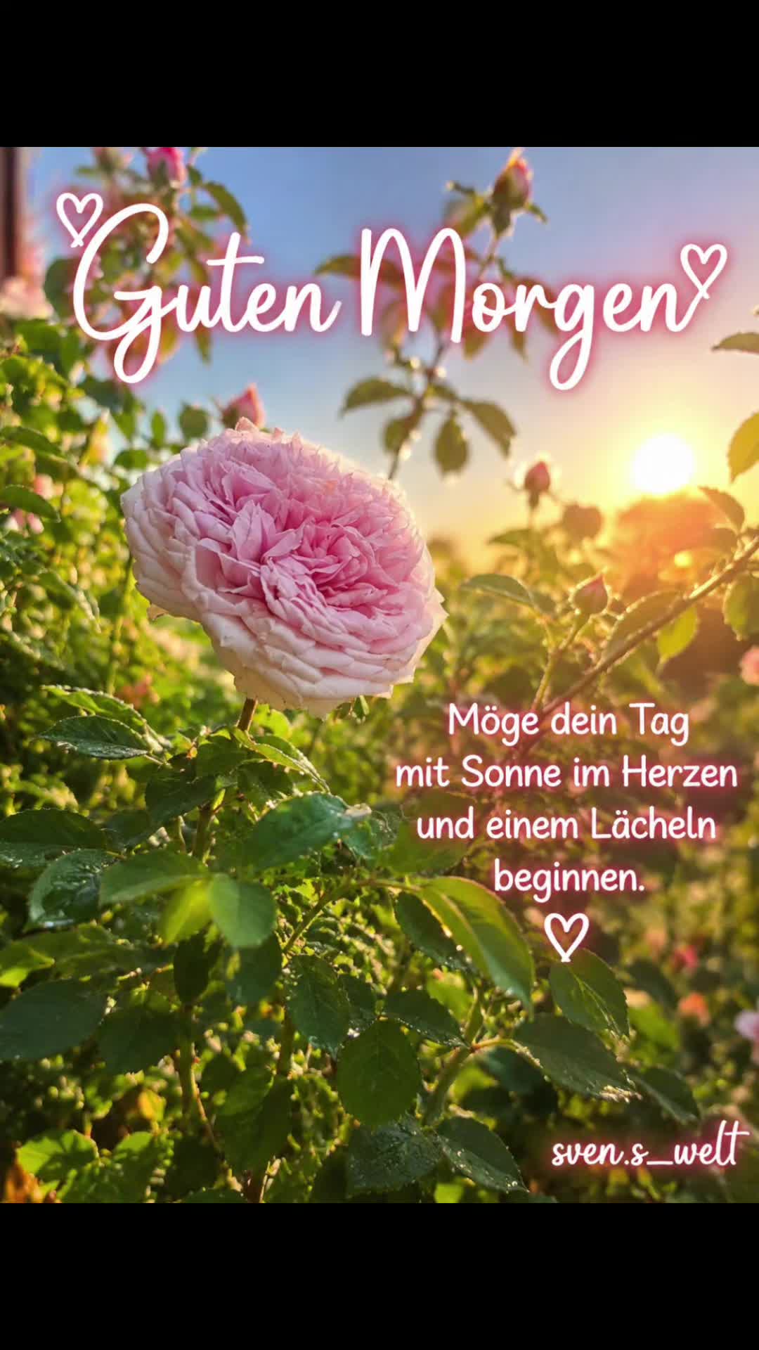@Sven