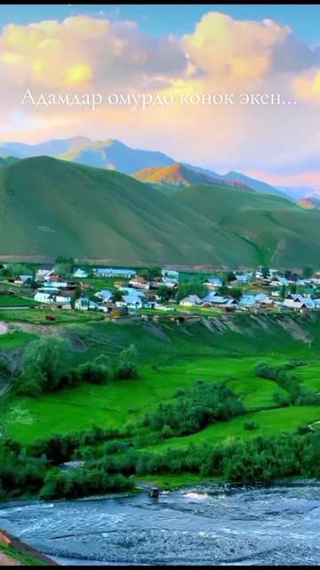 @Elmira.z