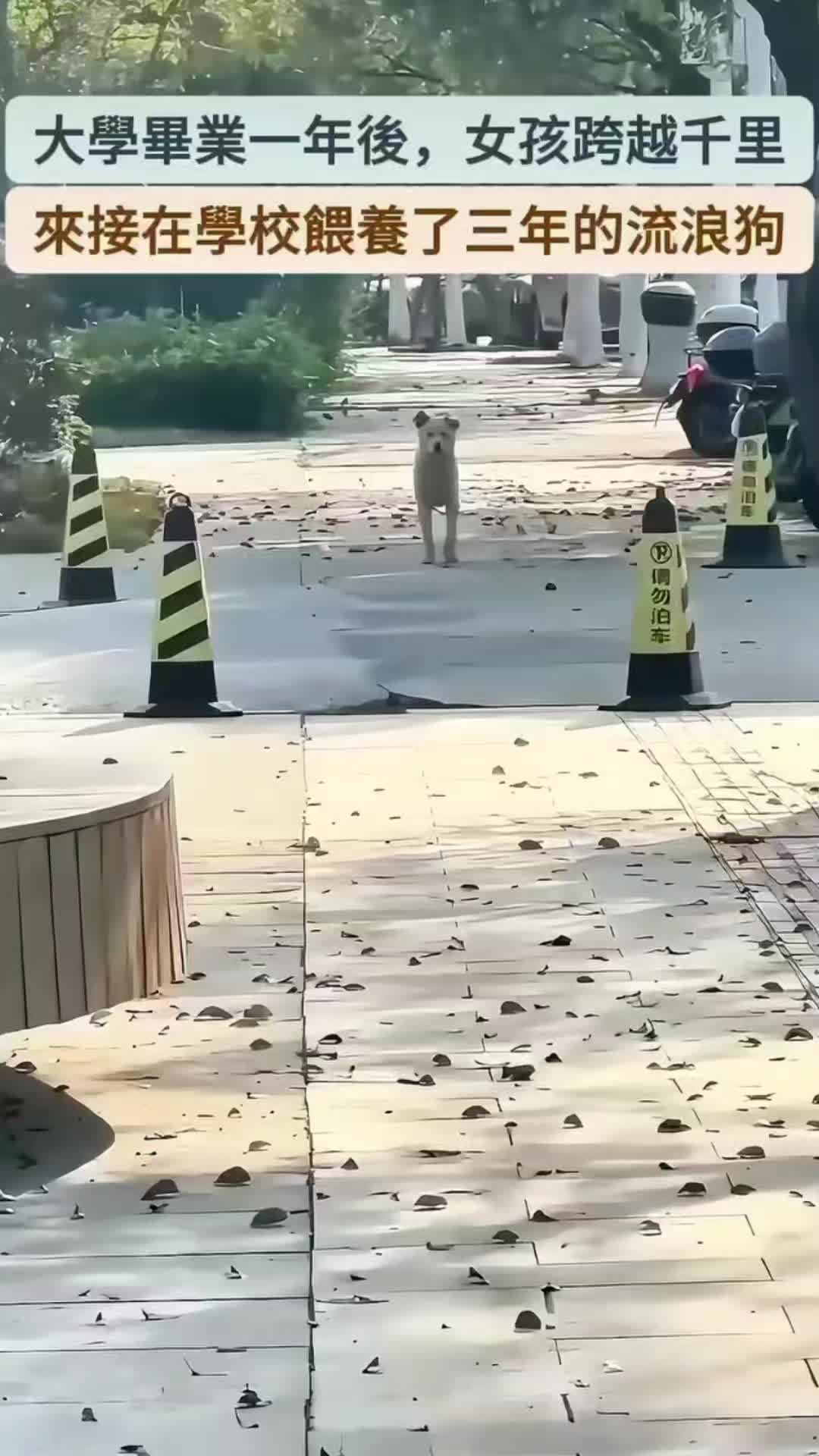 @💯㌫㌶[左手]㌍㌫💯