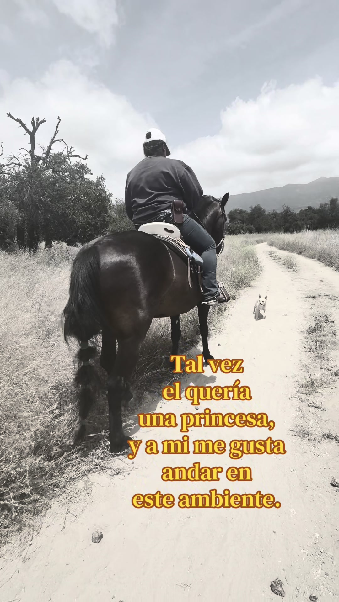 @Darlin Kimberly Martínez
