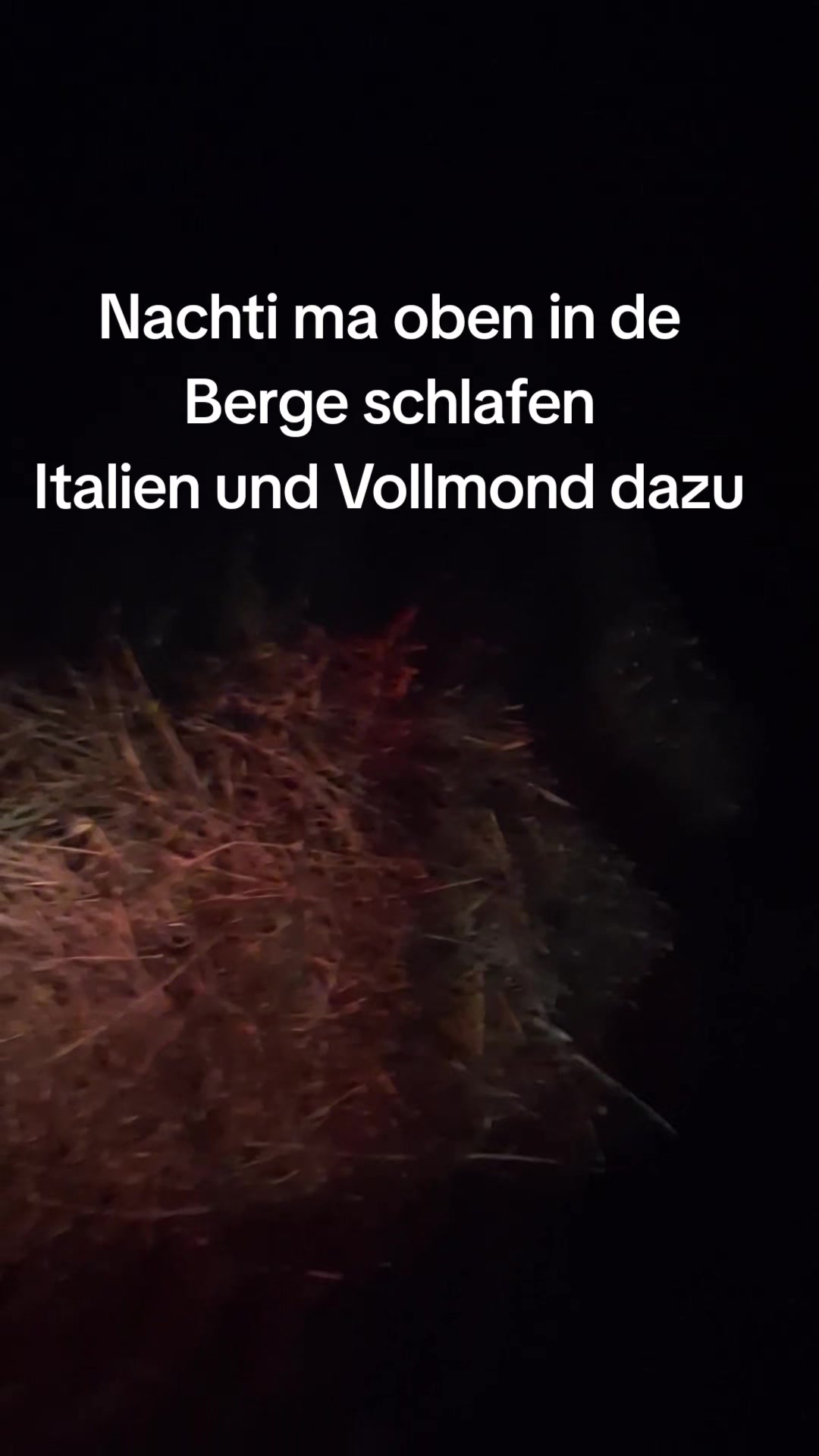 @Birgit Pradella