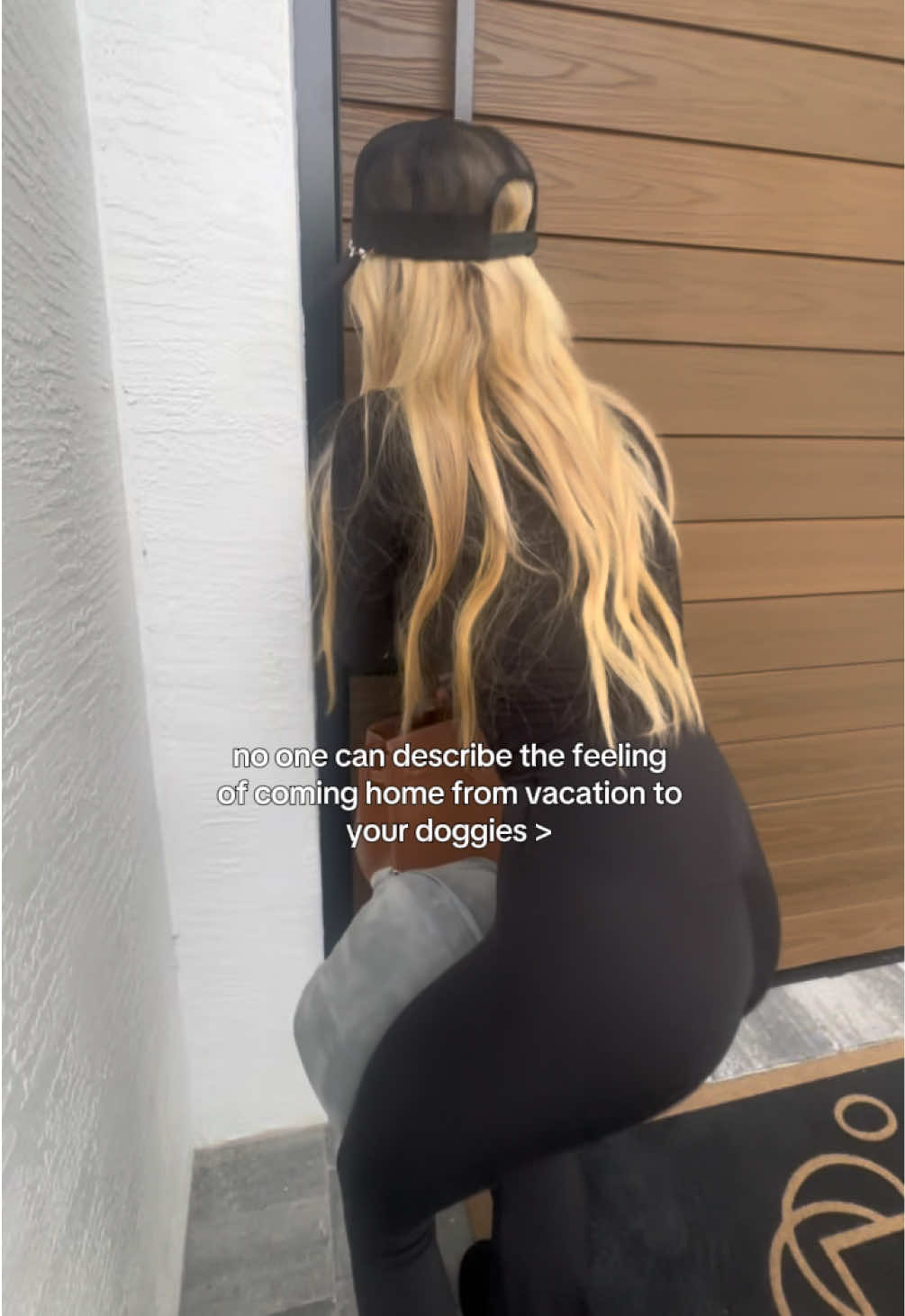 @alexacollins