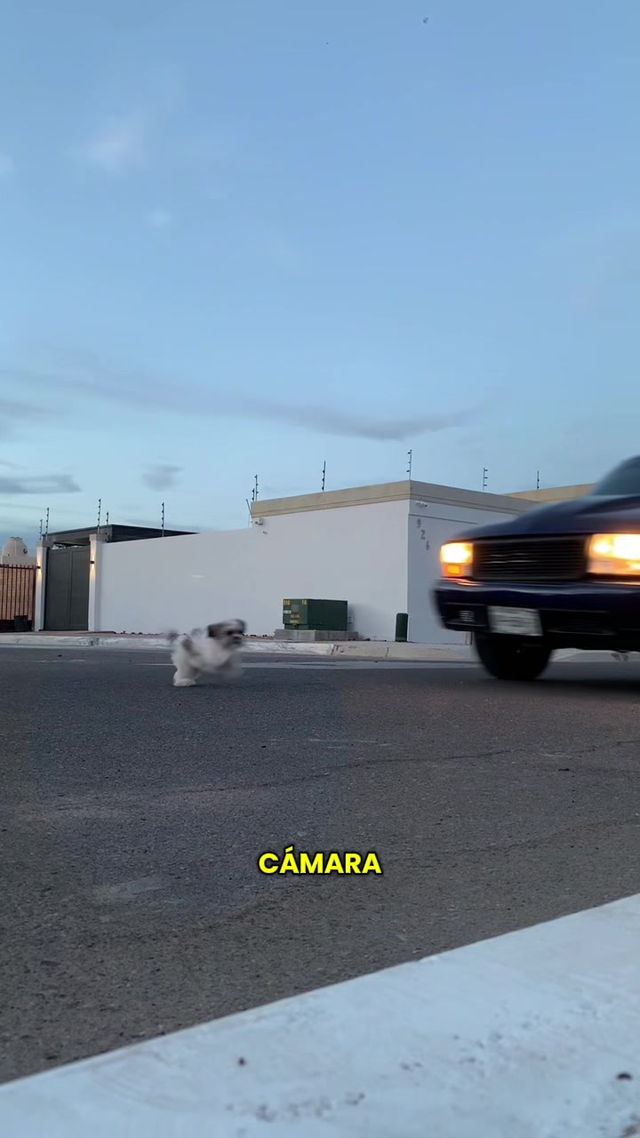 @Santiago_Sr