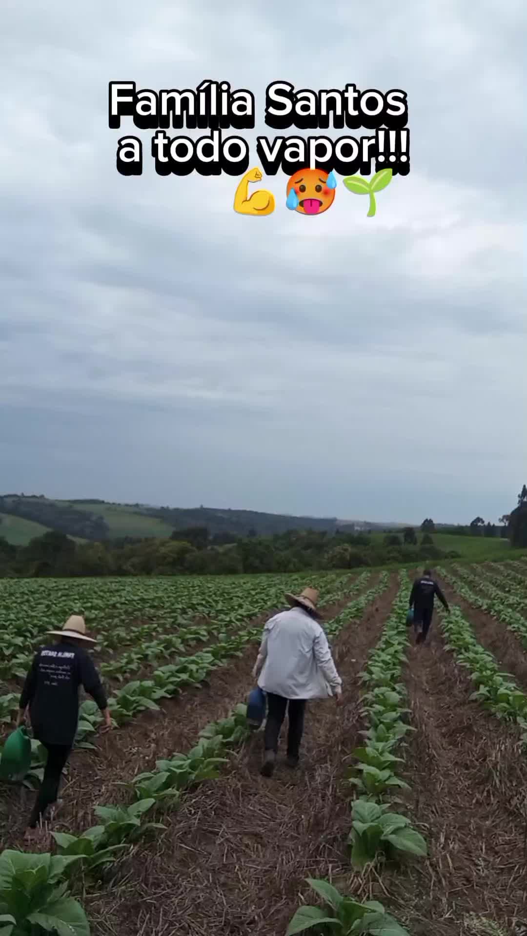 @Familia_Santos_fumicultores🌱