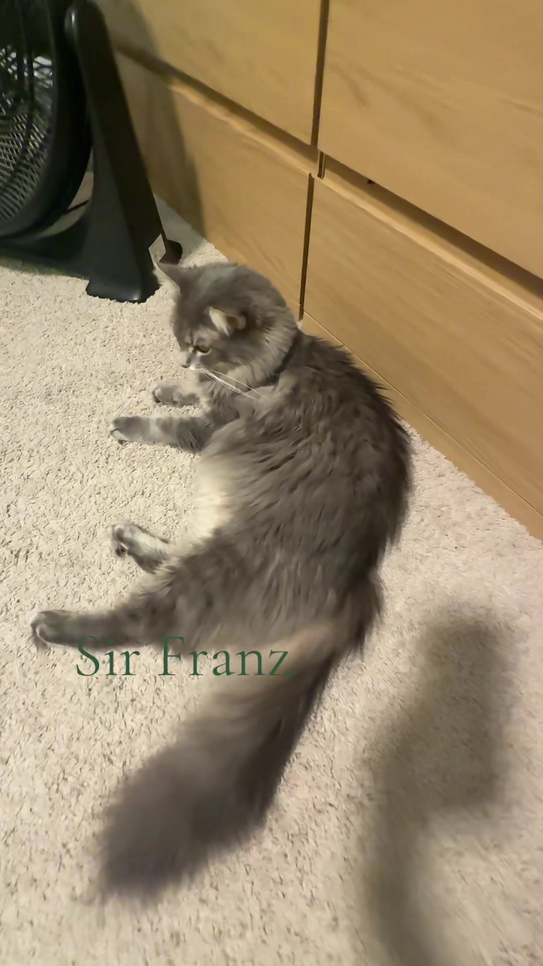 @jdubsメ૦