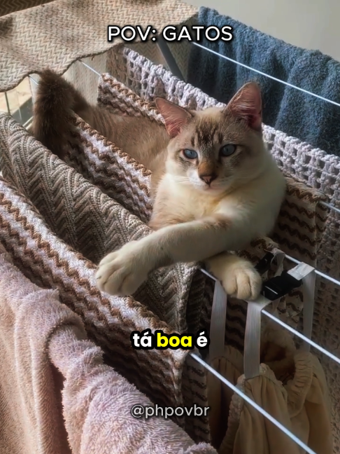 @phpovbr