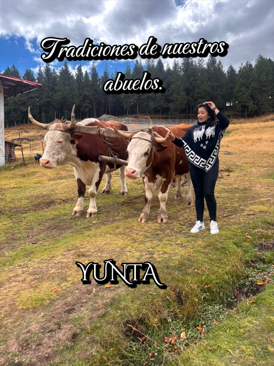 @Nohely León