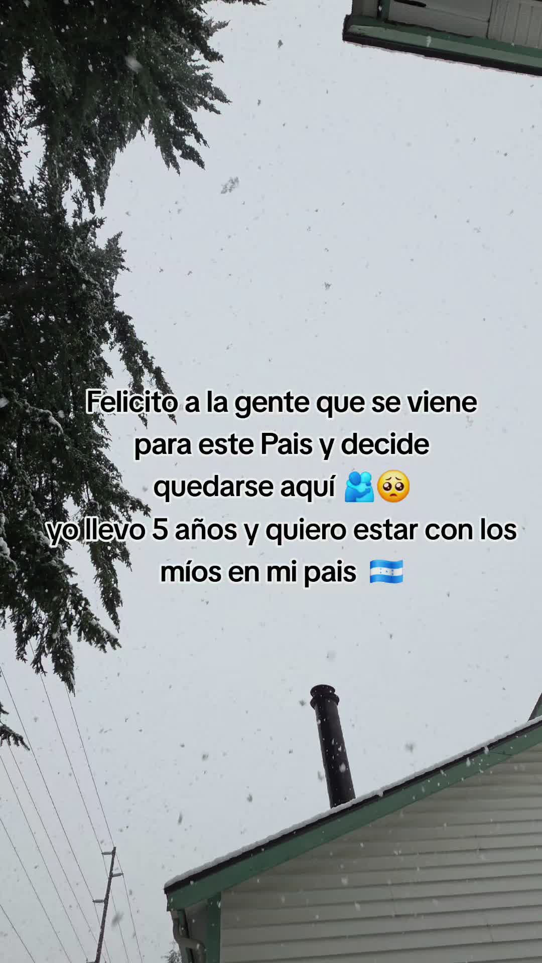 @Nilser❤️