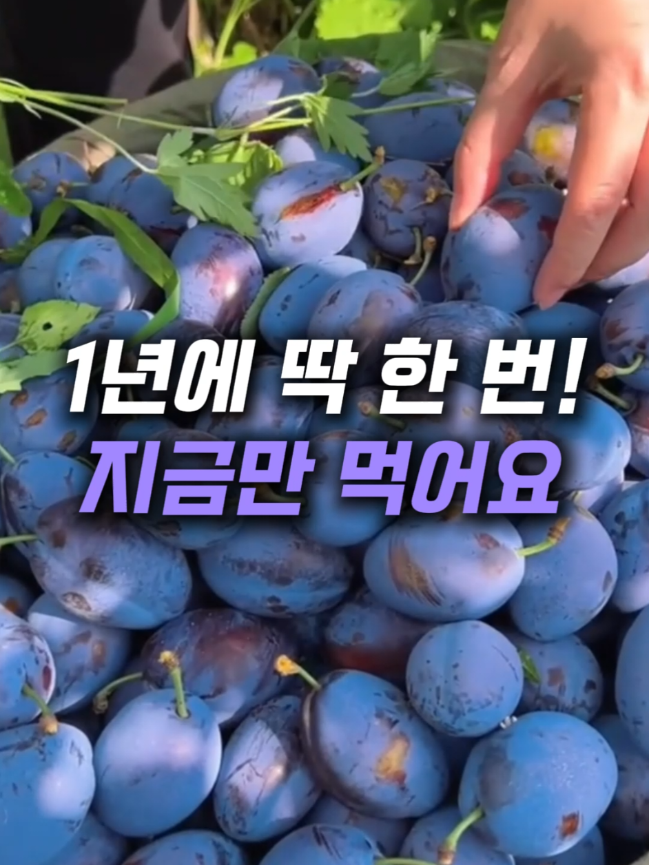 @헤헤홈템