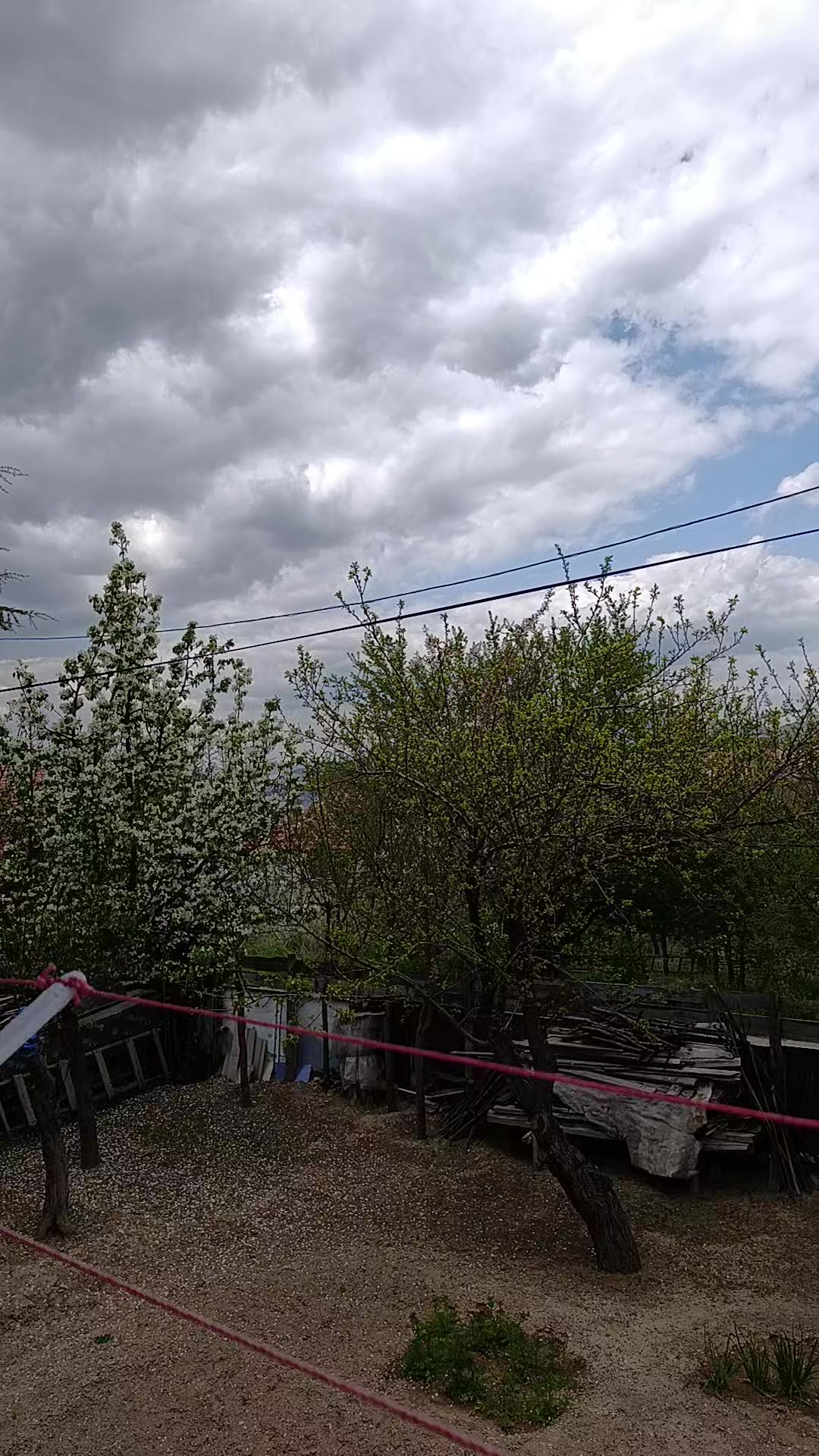 @Gizem Aygün.19