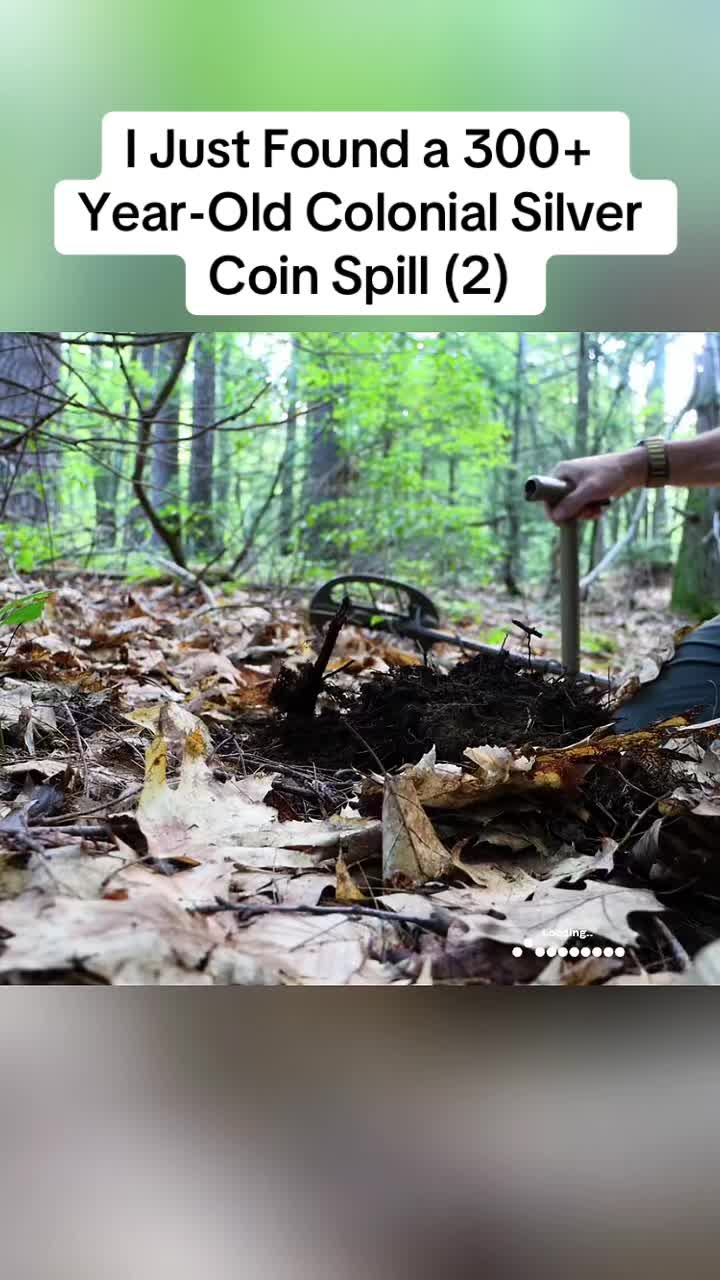 @Animals in nature