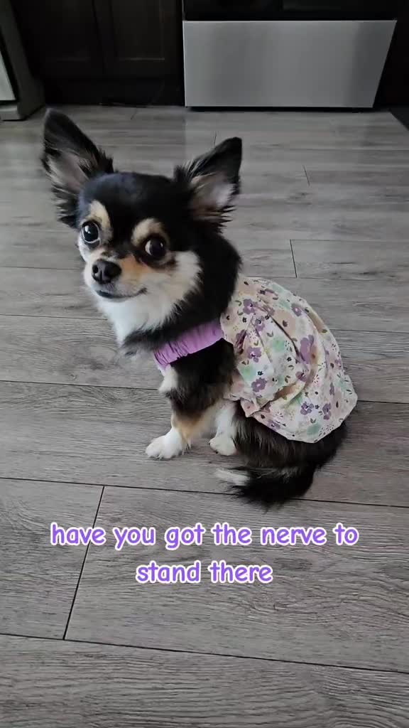 @Pawsha