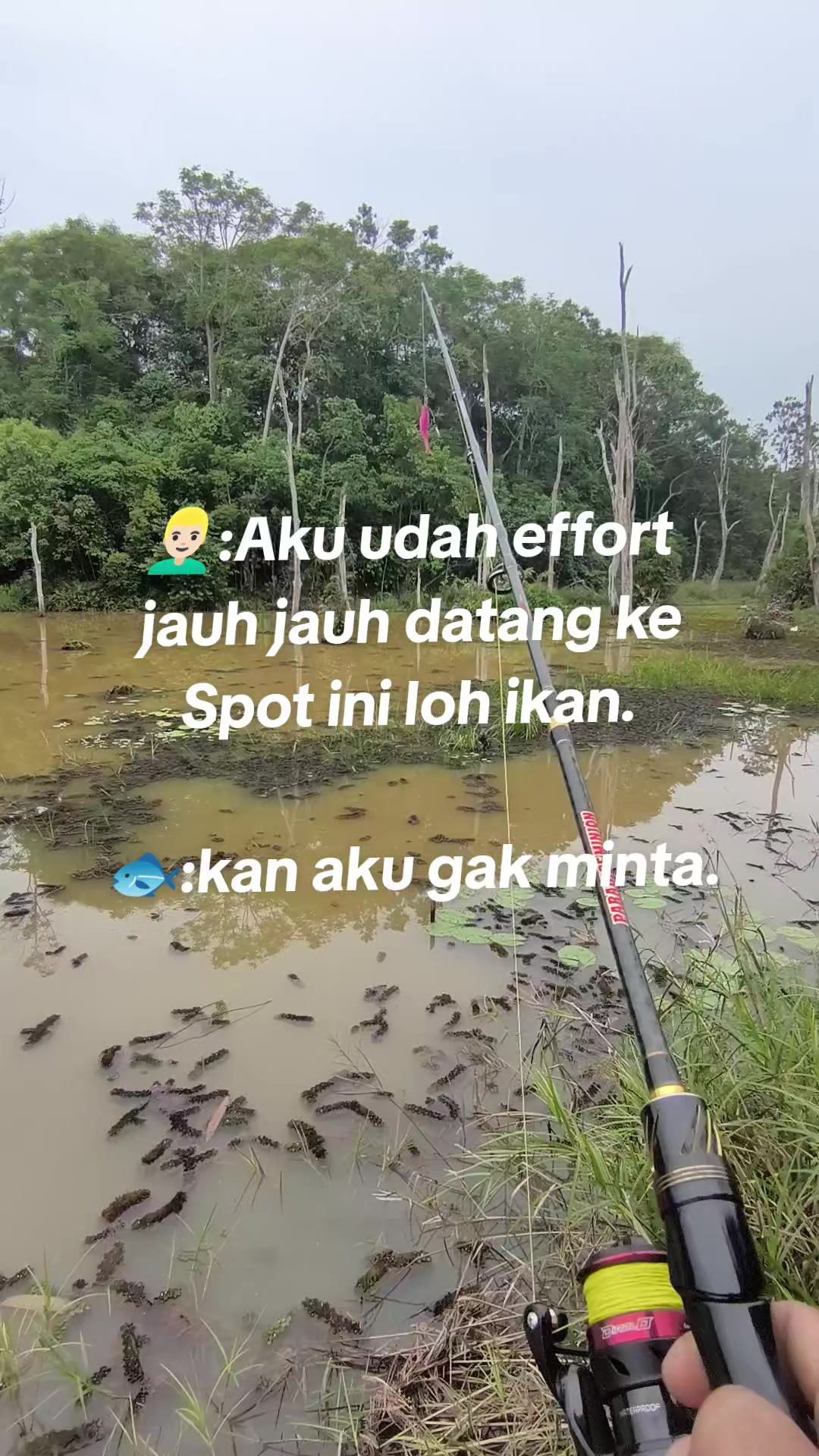 @Egik