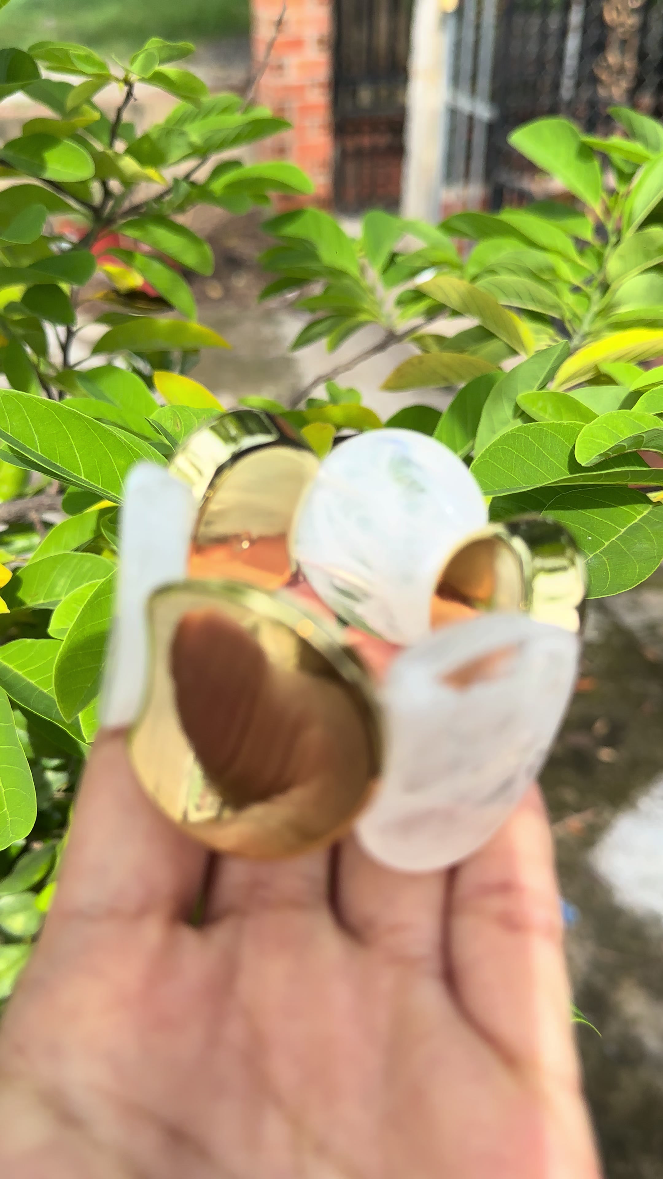 @Thuy Nguyen❤️❤️