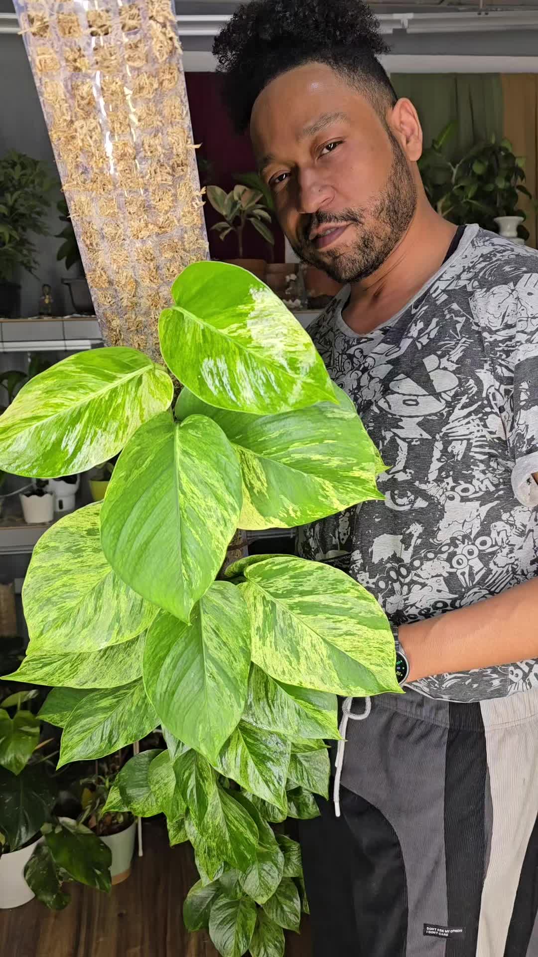 @JT - BigEGOPlants