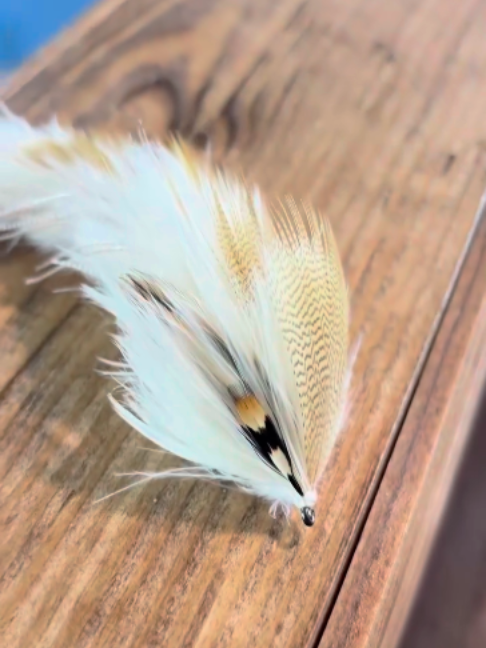 @veevusFishing