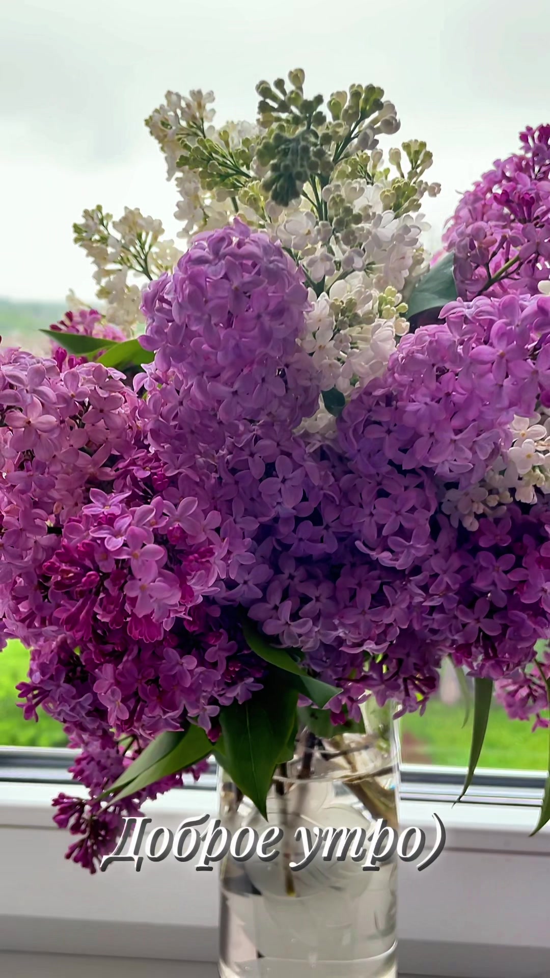 @🌸АнютаЯ🌸
