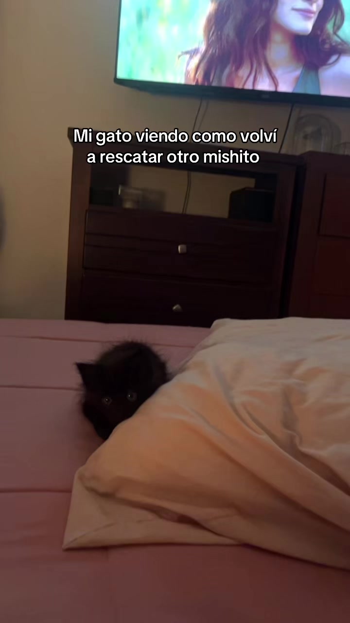 @Anna García