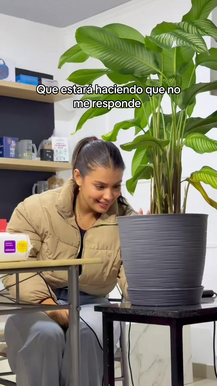 @Dahyrelis toro