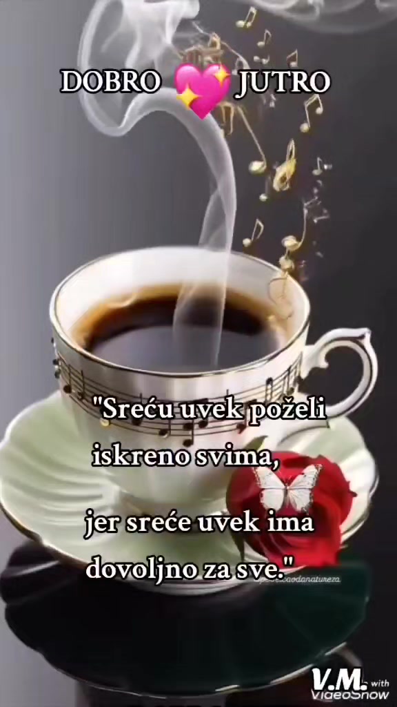 @mirjanavuckovic71