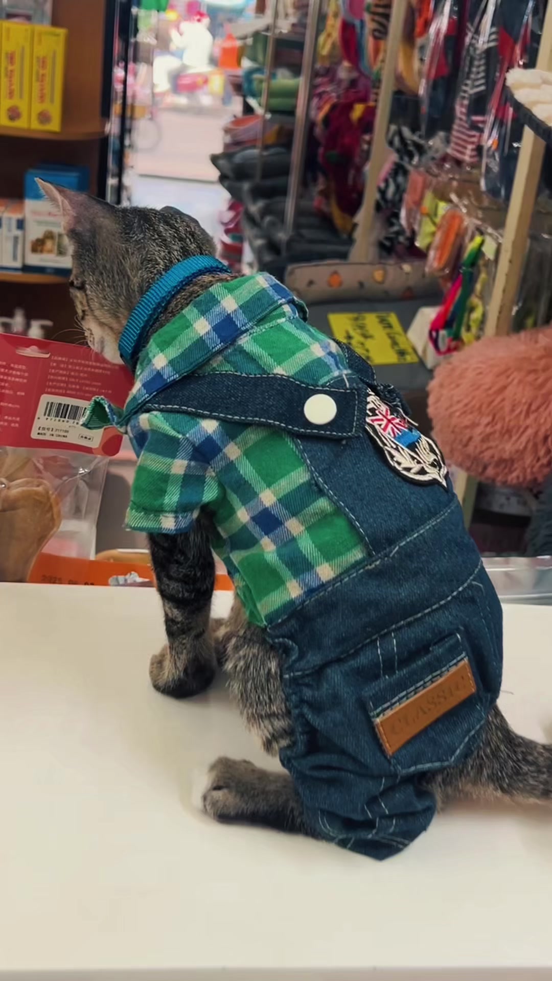 @TiTi Pet