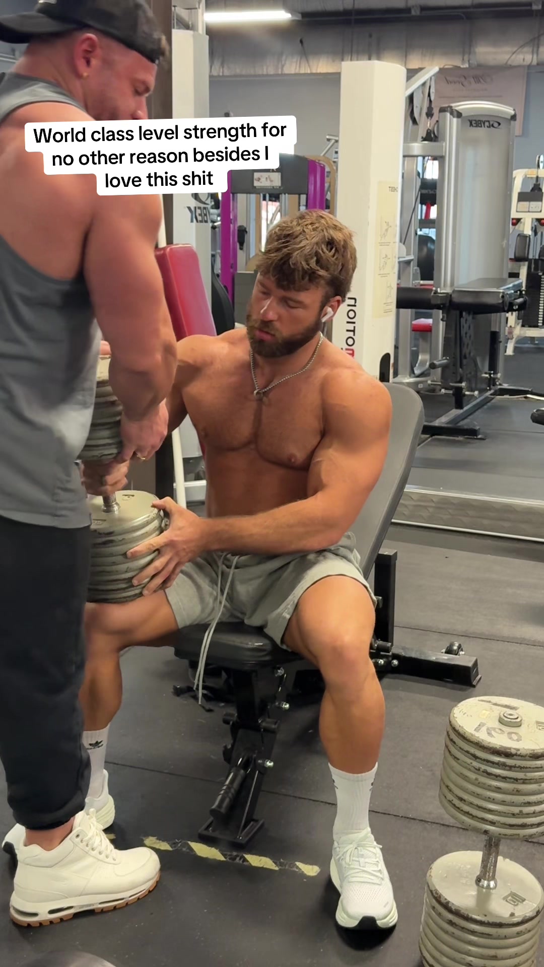 @Alex 🦍