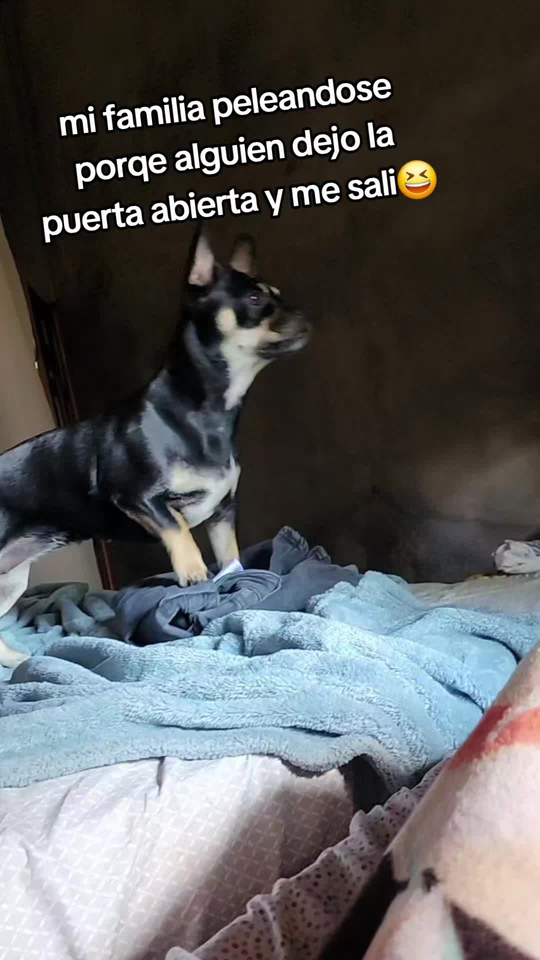 @Jaqueline Gomez