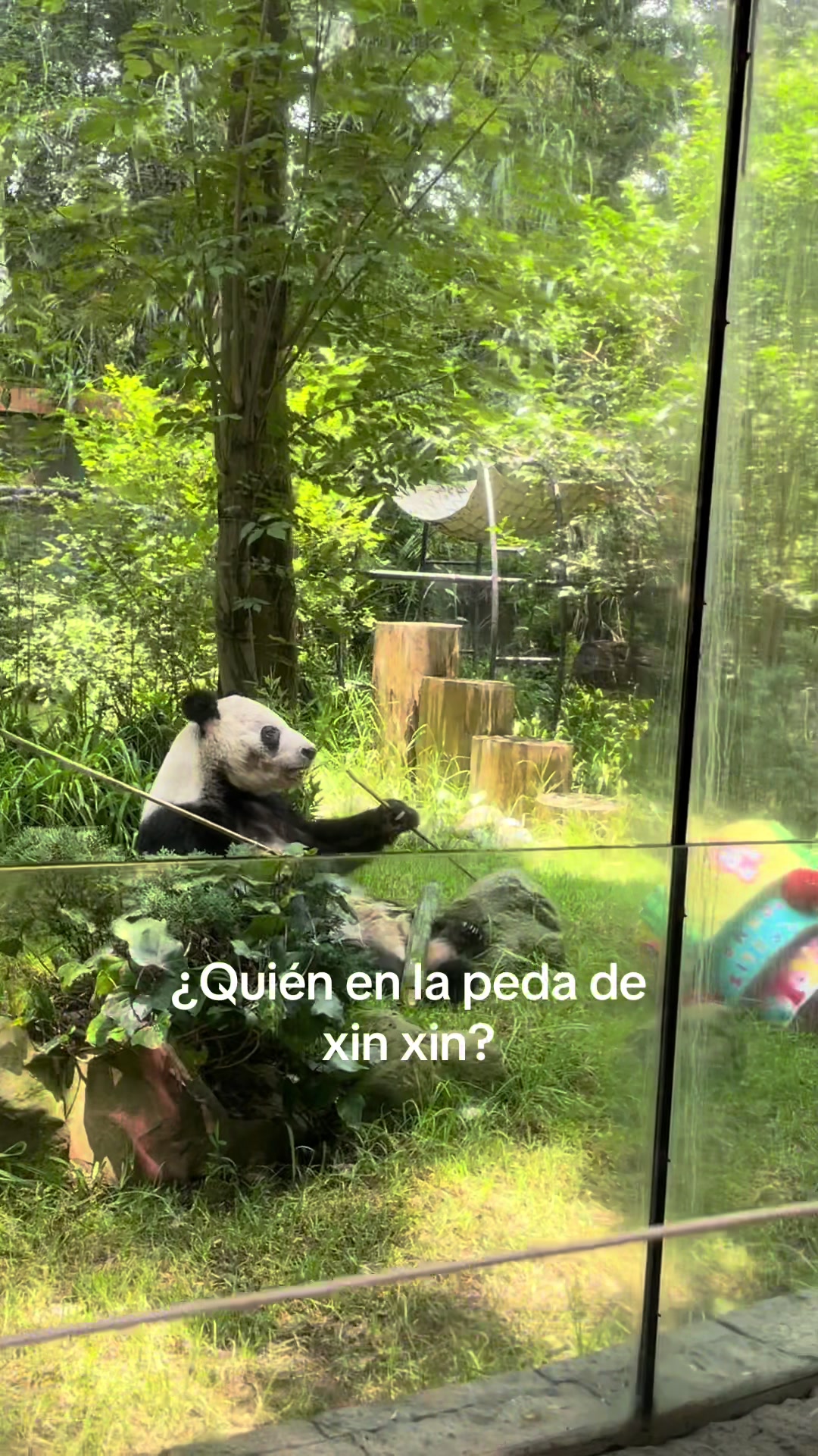 @_nathaliaconh_
