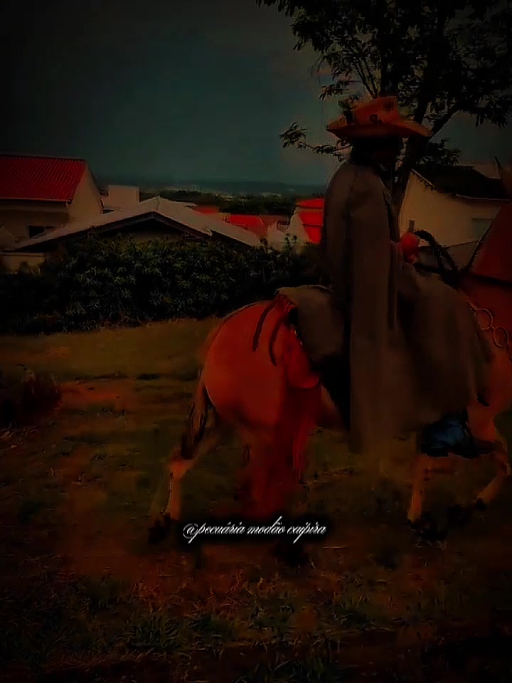 @pecu&aacute;ria mod&atilde;o caipira